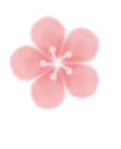 Pastel Cherry Blossom